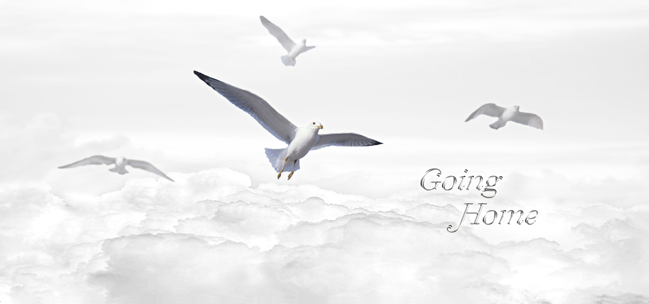 P 102 WT SL Going Home Clouds Birds White Silver